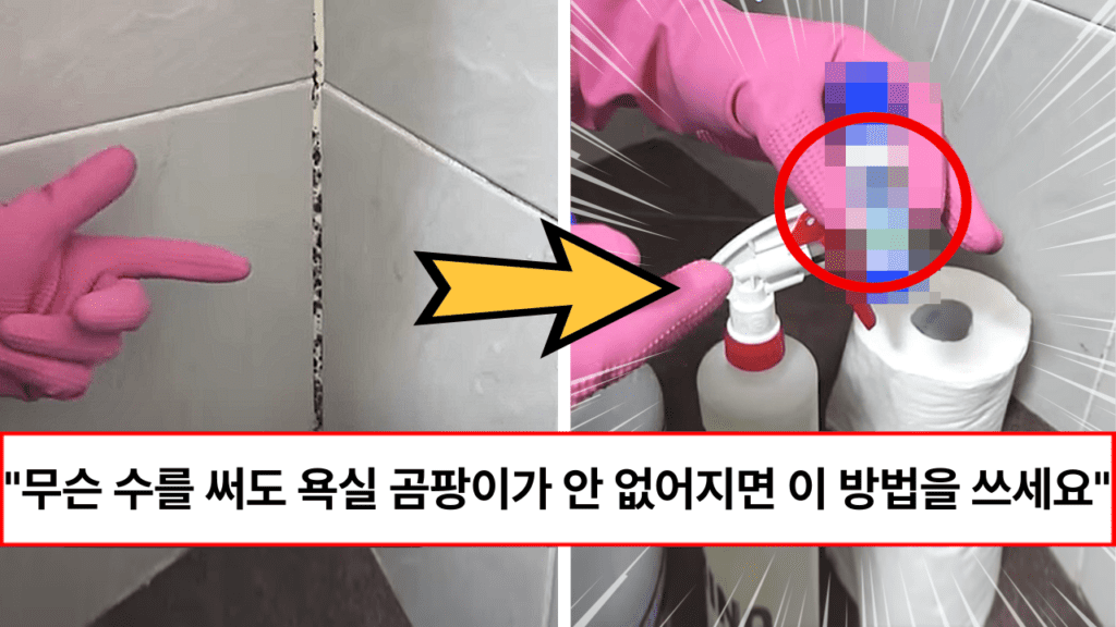 “이 방법만 알고 계시면 청소가 재밌습니다” 세상에서 제일 쉬운 욕실 곰팡이 제거 방법 (+응용)