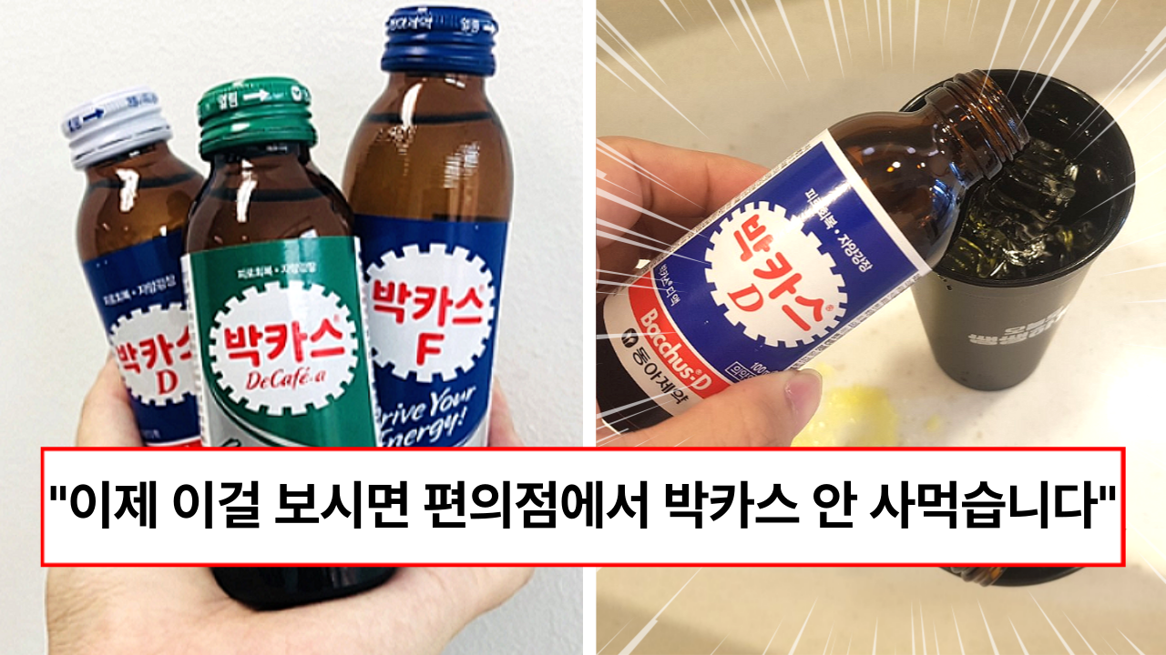 “박카스 D, F, A 는 모두 다른 제품입니다” 대한민국 국민의 90%는 모르고 먹는다는 박카스의 정체 (+차이점)